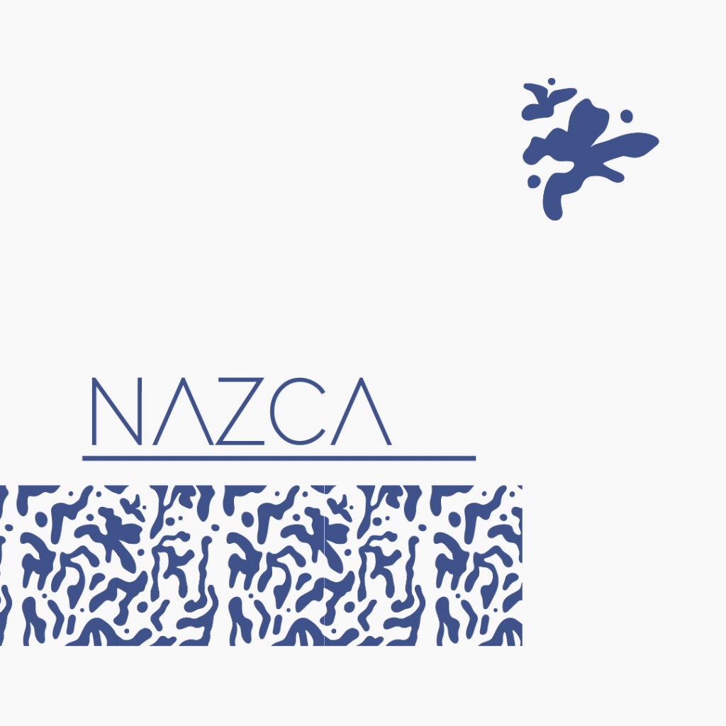 Post TFM Nazca 2-03